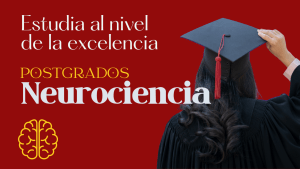 Máster en Neurociencia Aplicada 2026