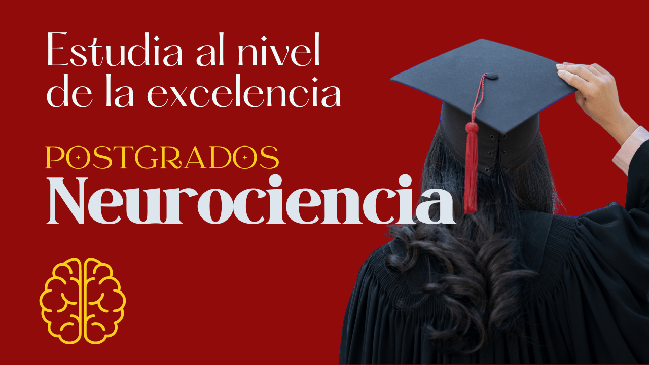Máster en Neurociencia Aplicada