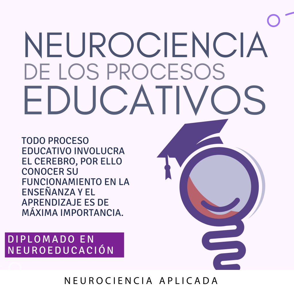 Procesos Educativos – Neuroeducación