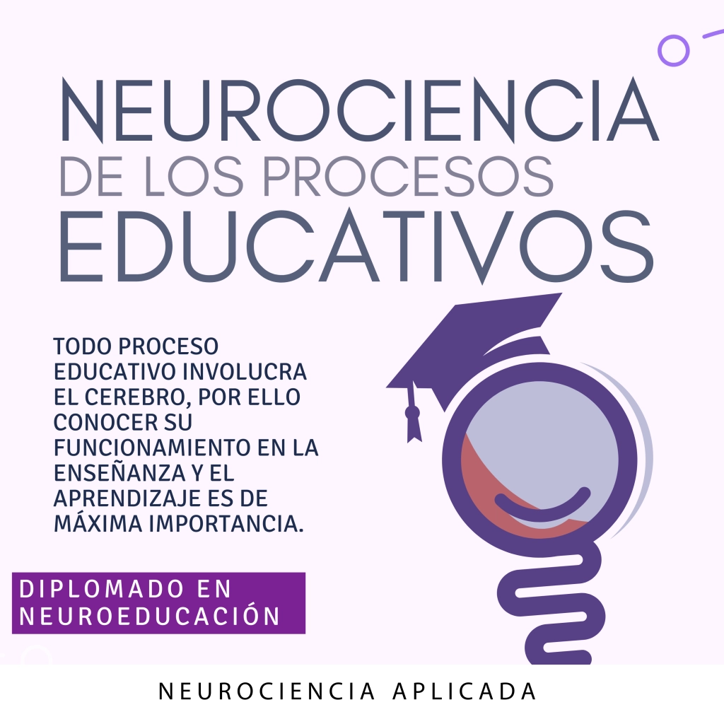 Procesos Educativos – Neuroeducación