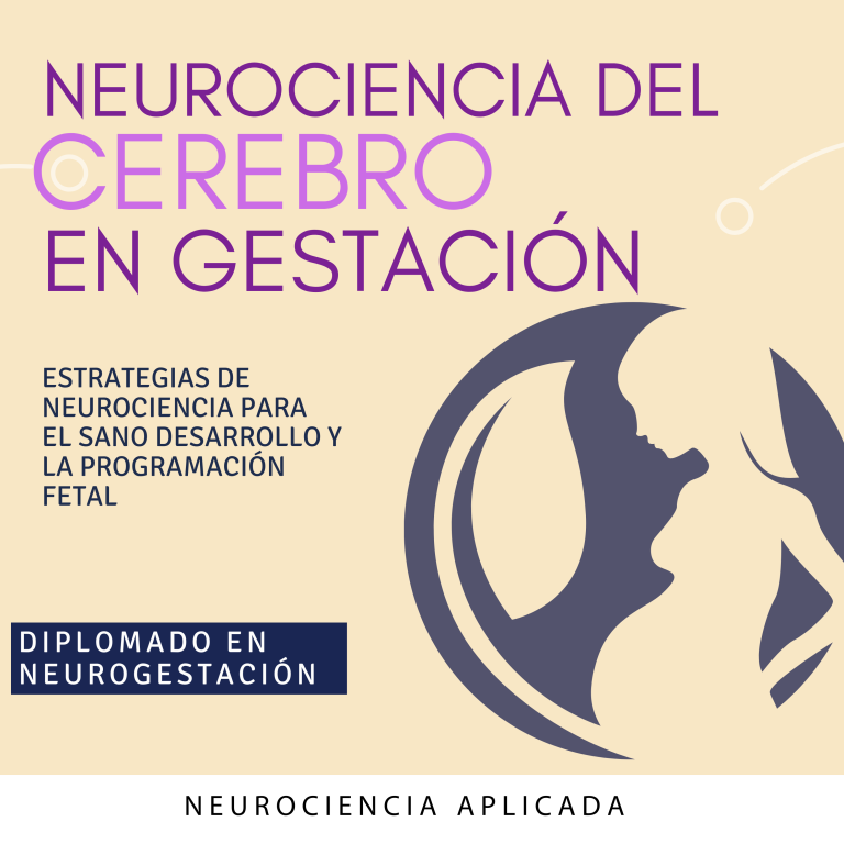 Neurociencia del Cerebro en Gestación