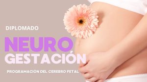 Diplomado Neurogestación y Programación Cerebral del Feto